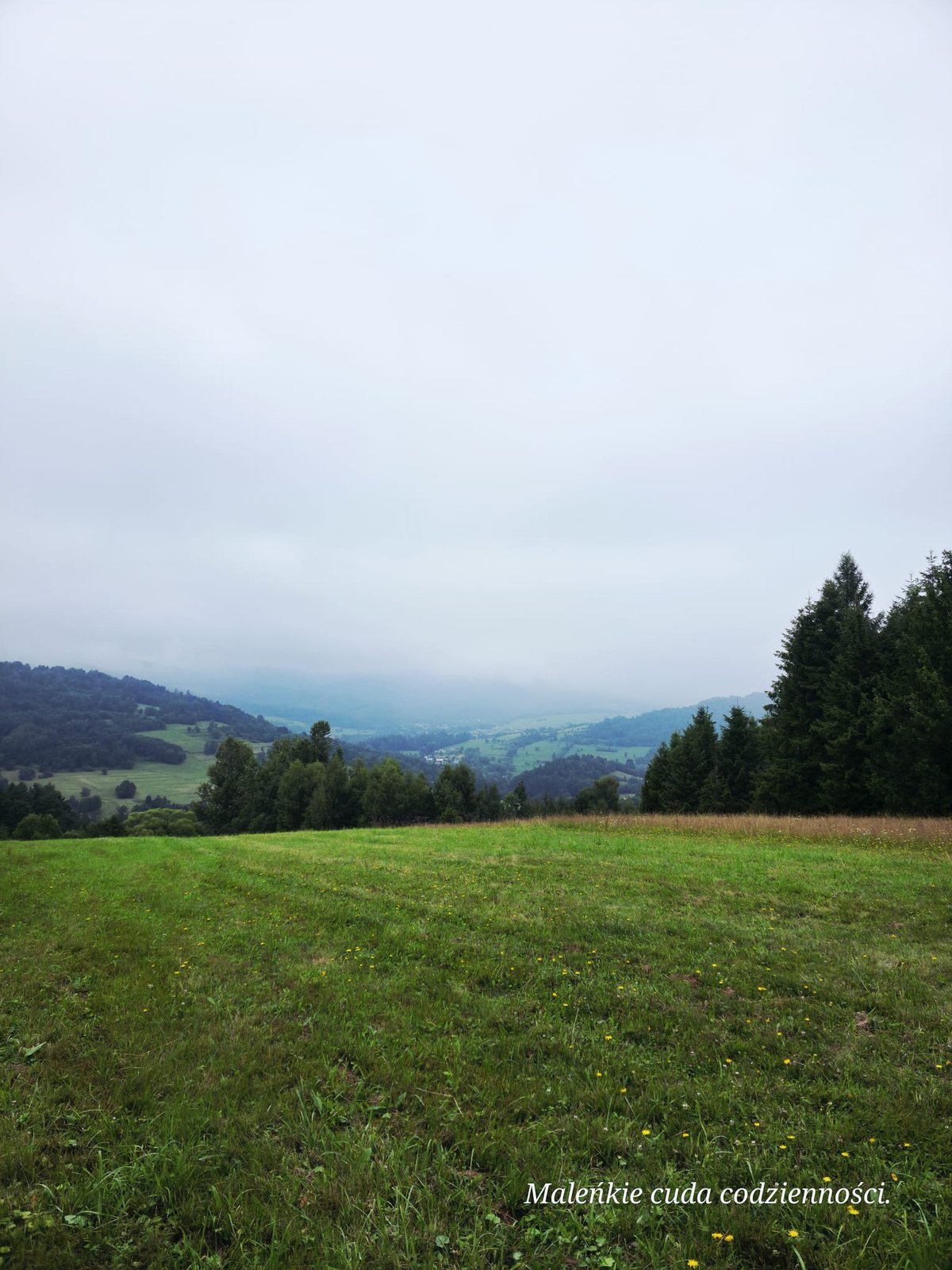 Leśne 22 — widok